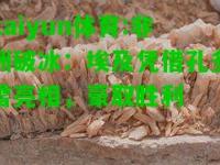 kaiyun体育:非洲破冰：埃及凭借孔多雷亮相，豪取胜利
